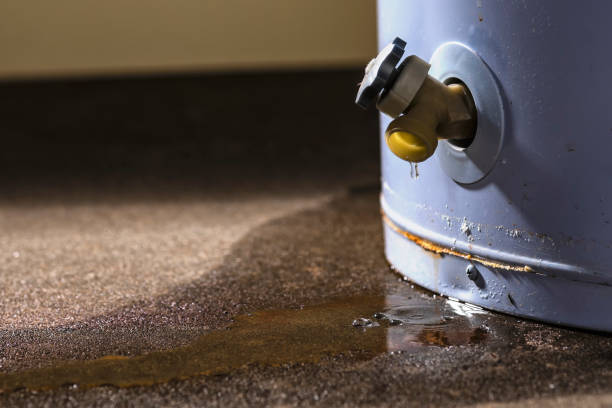 Best Carpet water damage restoration  in Westwood, NJ