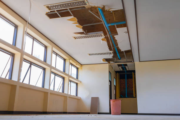 Best Ceiling water damage repair  in Westwood, NJ