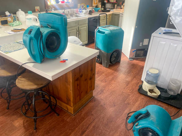 Best Water damage cleanup near me  in Westwood, NJ