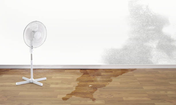 Best Fire Damage Restoration  in Westwood, NJ