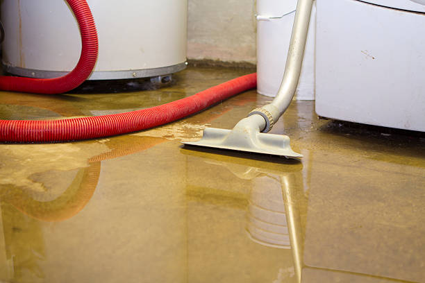 Best Water damage contractors near me  in Westwood, NJ