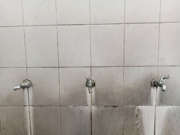 Best Flood restoration services  in Westwood, NJ