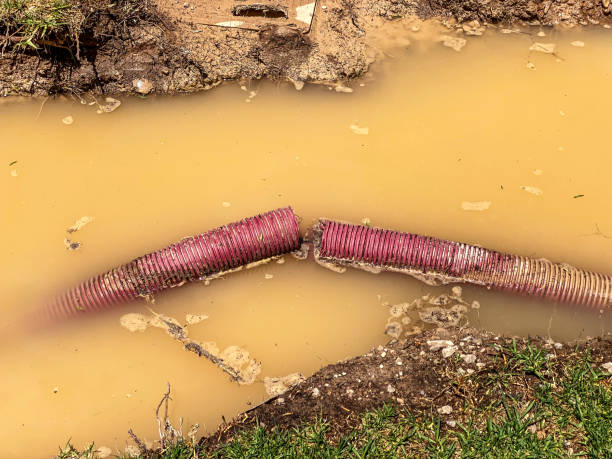 Best Water damage restoration near me  in Westwood, NJ