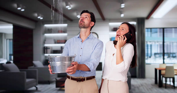 Best Flooded house restoration  in Westwood, NJ